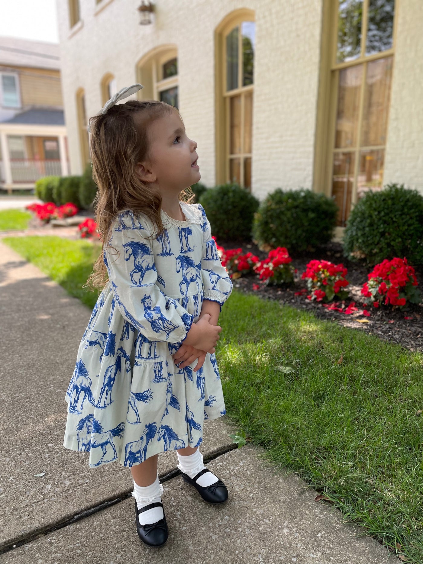 Blue Horses Charlie Dress